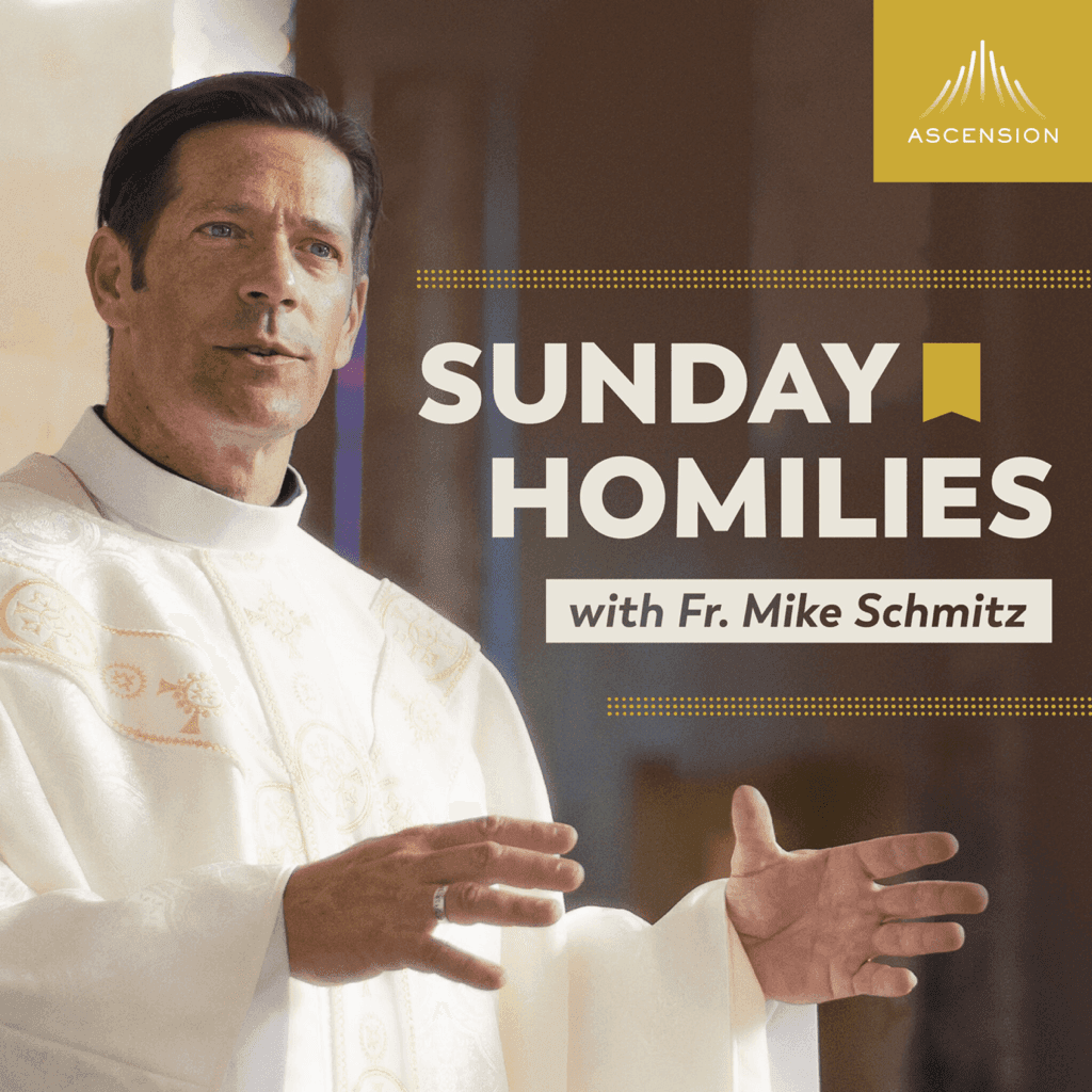 Sunday Homilies